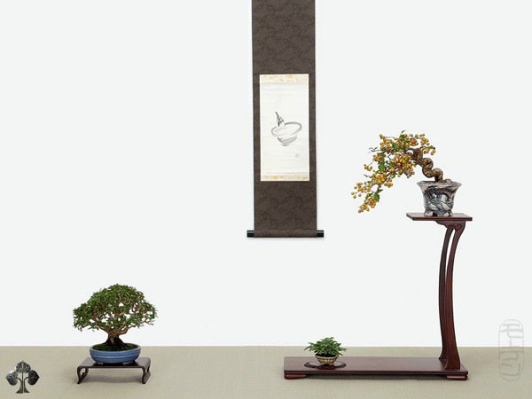 Expositor de Bonsai Mame