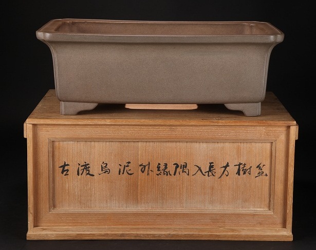 Expensive bonsai pot