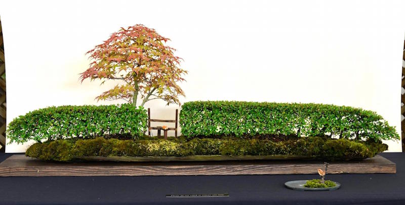 Landscape Bonsai