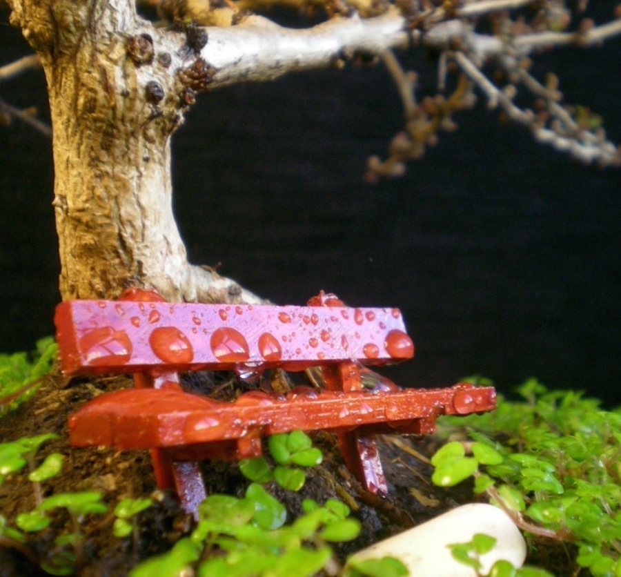 Rain on Bonsai chair