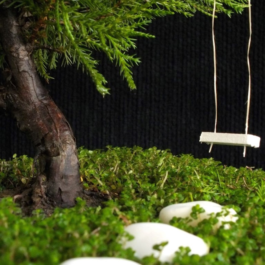 Bonsai swing