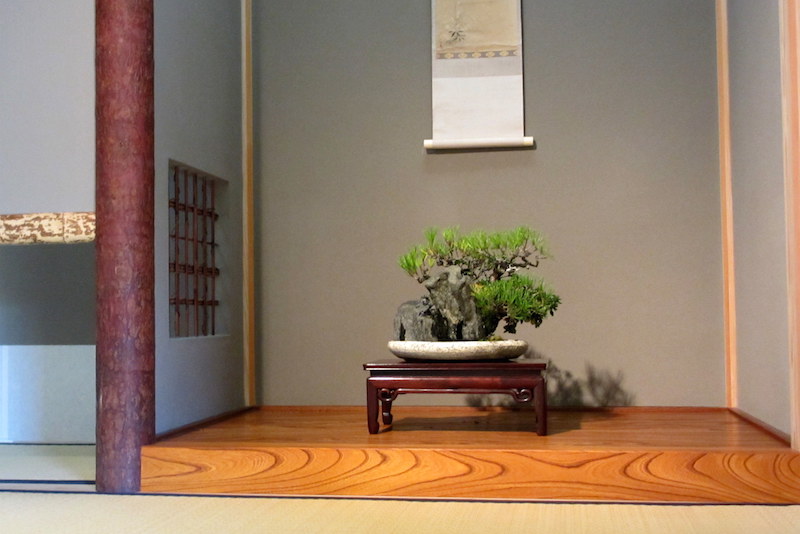 Bonsai tokonoma