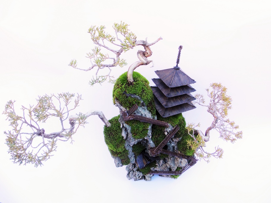 Cliff Bonsai tree, miniature landscape