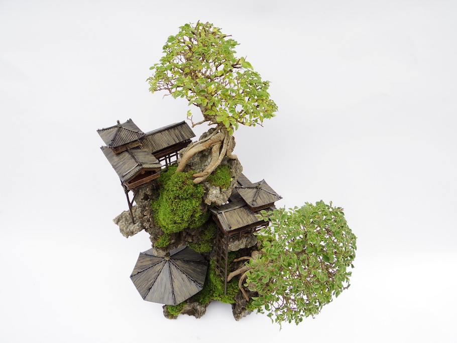 Cliff Bonsai tree, miniature landscape