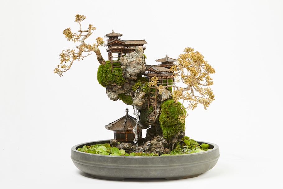 Cliff Bonsai tree, miniature landscape