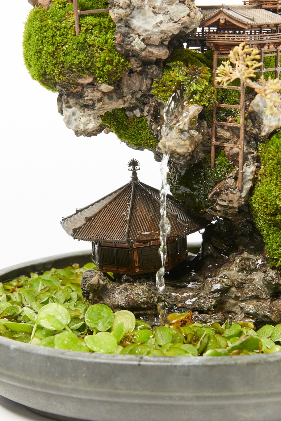 Cliff Bonsai tree, miniature landscape