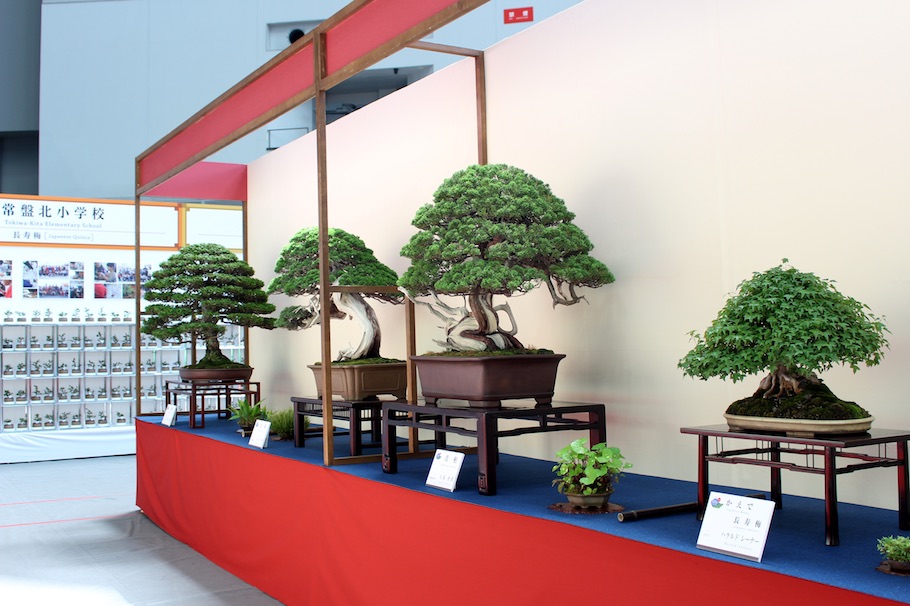 World Bonsai Convention Saitama, 2017