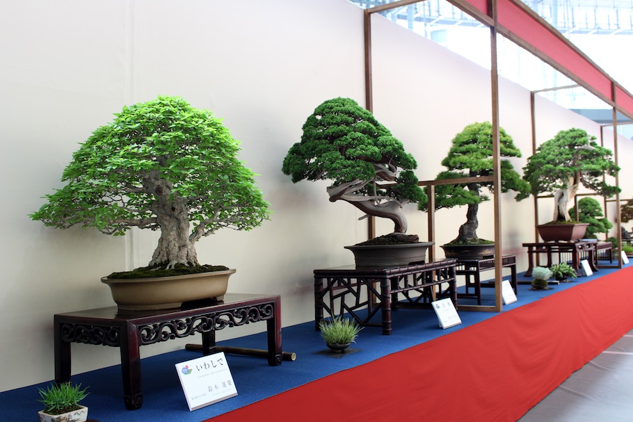 World Bonsai Convention Saitama, 2017