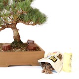 Diferentes tipos de adubo para Bonsai