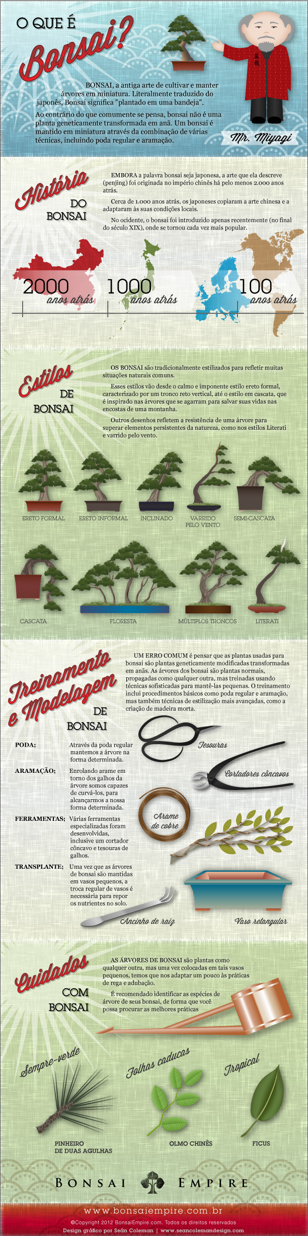 Bonsai infografico