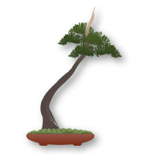 Estilo de Bonsai Bunjingi (literati)