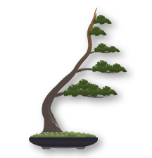 Estilo de Bonsai Fukinagashi (varrido pelo vento)