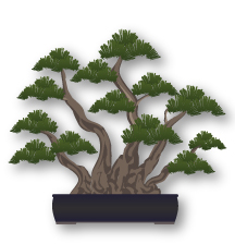 Estilo de Bonsai Kabudachi (múltiplos troncos)