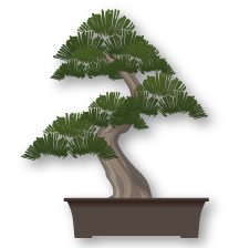 Estilo de Bonsai Moyogi (ereto informal)