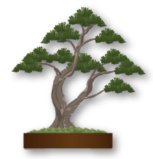 Estilo de Bonsai Sokan (tronco duplo)