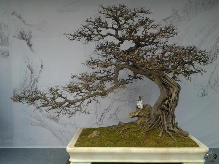 Penjing chinês com estatueta